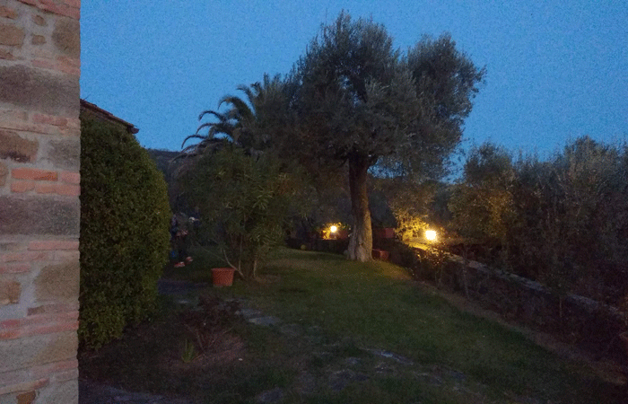 Olive Tree Suites - The garden
